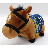 Plush - Thoroughbred collection