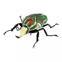 Trading Figure - Ikimono Daizukan