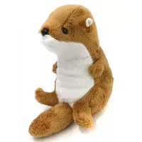 Plush - Otter