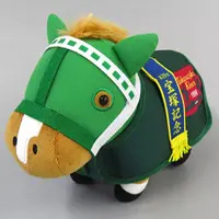 Plush - Thoroughbred collection