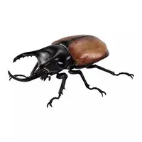 Trading Figure - Ikimono Daizukan