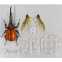 Trading Figure - Ikimono Daizukan