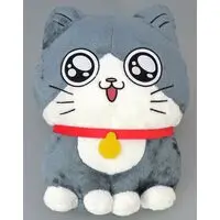 Plush - Neko ni Tensei shita Ojisan / Pun-chan