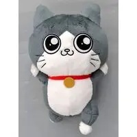Plush - Neko ni Tensei shita Ojisan / Pun-chan