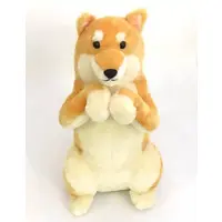 Plush - Hokkori Shibainu Chachanosuke