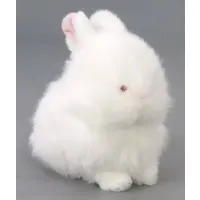 Plush - Rabbit