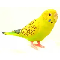 Trading Figure - Parakeet