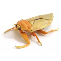 Trading Figure - Ikimono Daizukan