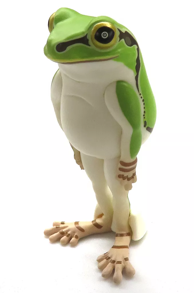 Narabetai - Seiretsu Tree frog
