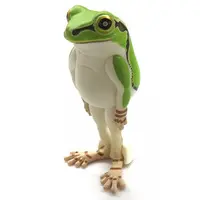 Narabetai - Seiretsu Tree frog