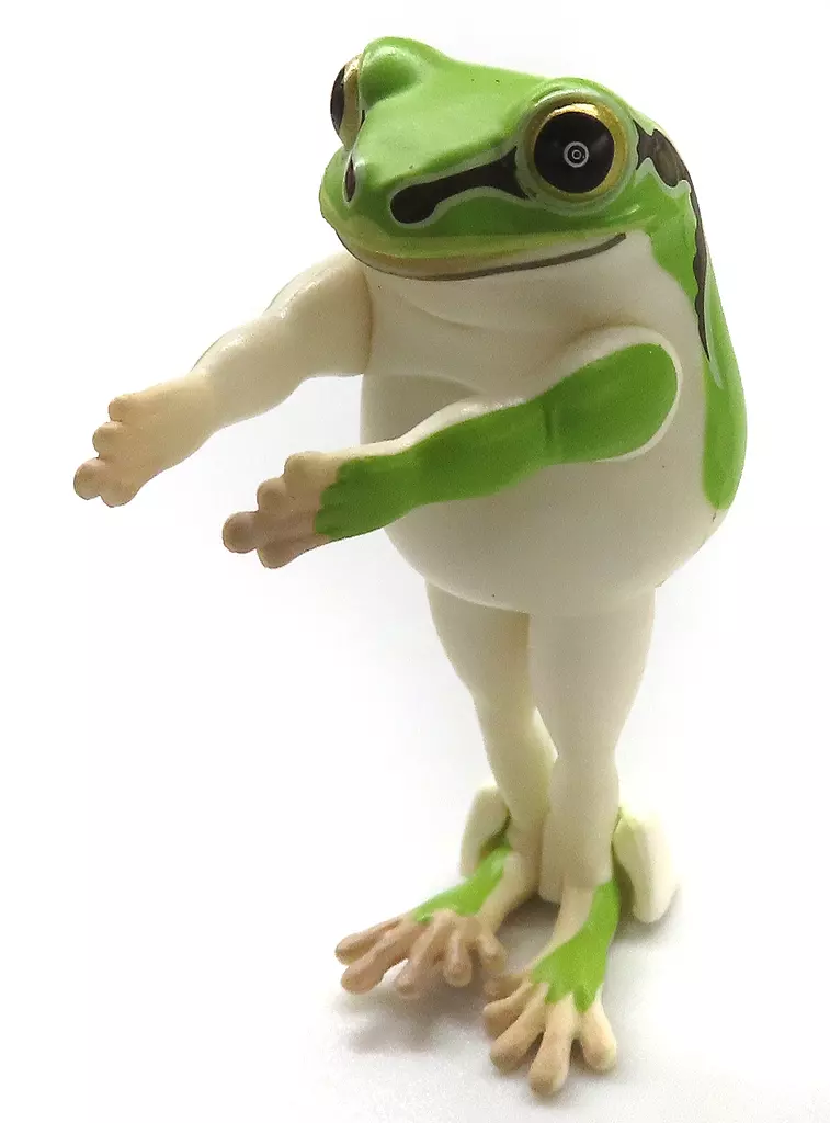 Narabetai - Seiretsu Tree frog