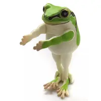 Narabetai - Seiretsu Tree frog