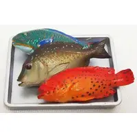 Trading Figure - OKINAWA