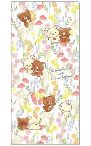 Folder - RILAKKUMA / Chairoikoguma & Korilakkuma