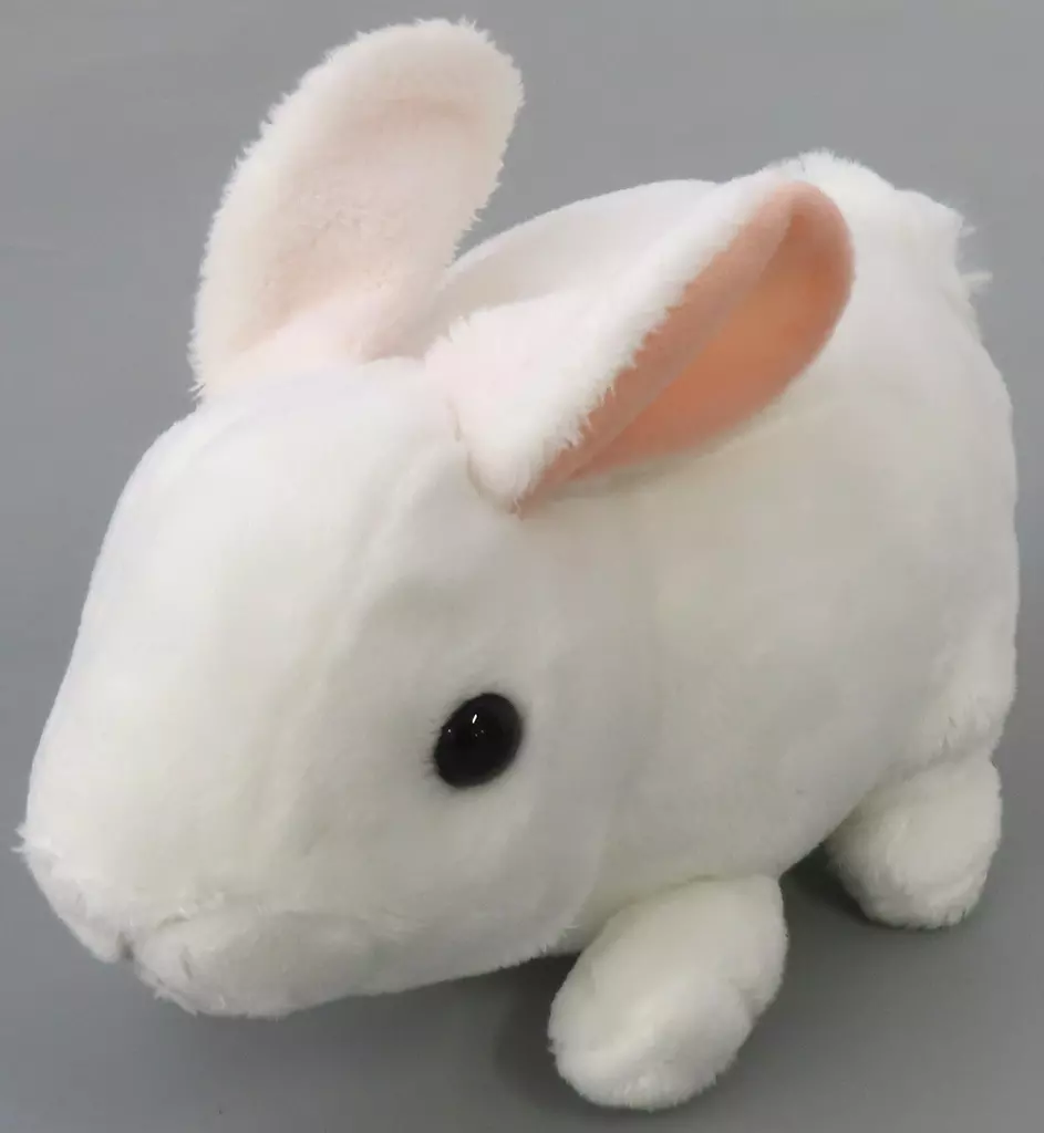 Plush - Rabbit