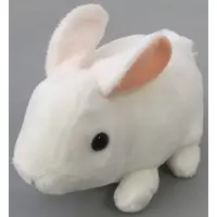 Plush - Rabbit