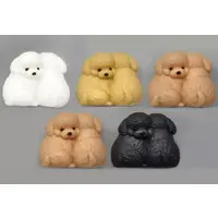 Trading Figure - Both are the stars! Toy Poodles