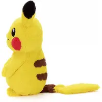 Plush - Pokémon / Pikachu