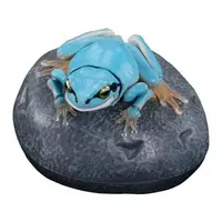 Trading Figure - Ikimono Daizukan