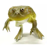 Trading Figure - Nature Technicolor