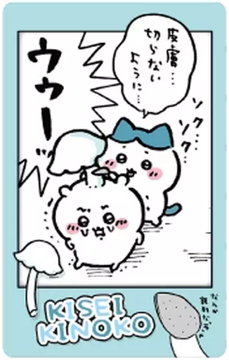 Snap-mide - Chiikawa / Chiikawa & Hachiware