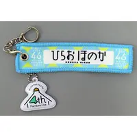 Key Chain - Hinatazaka46