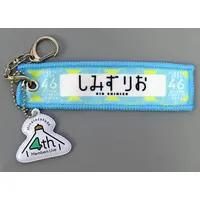 Key Chain - Hinatazaka46