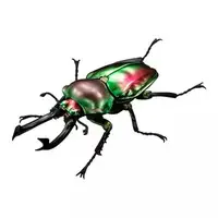 Trading Figure - Ikimono Daizukan