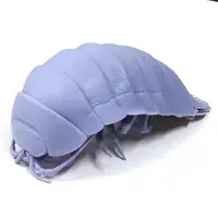 Trading Figure - DANGOMUSHI