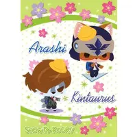 Stationery - Plastic Sheet - SHOW BY ROCK!! / Arashi & Kintaurus