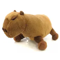 Plush - National Museum of Nature and Science,Tokyo