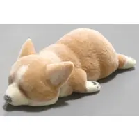 Trading Figure - Mofumofu Corgi