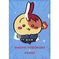 Stationery - Plastic Folder (Clear File) - Chiikawa / Usagi