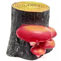 Trading Figure - Tree mushroom collection