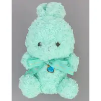 Plush - Happy Birthcolor