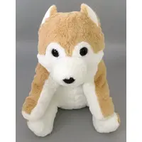 Plush - Dog