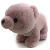 Plush - Bear