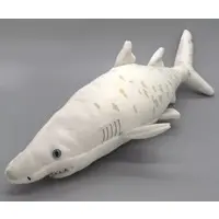Plush - Shark