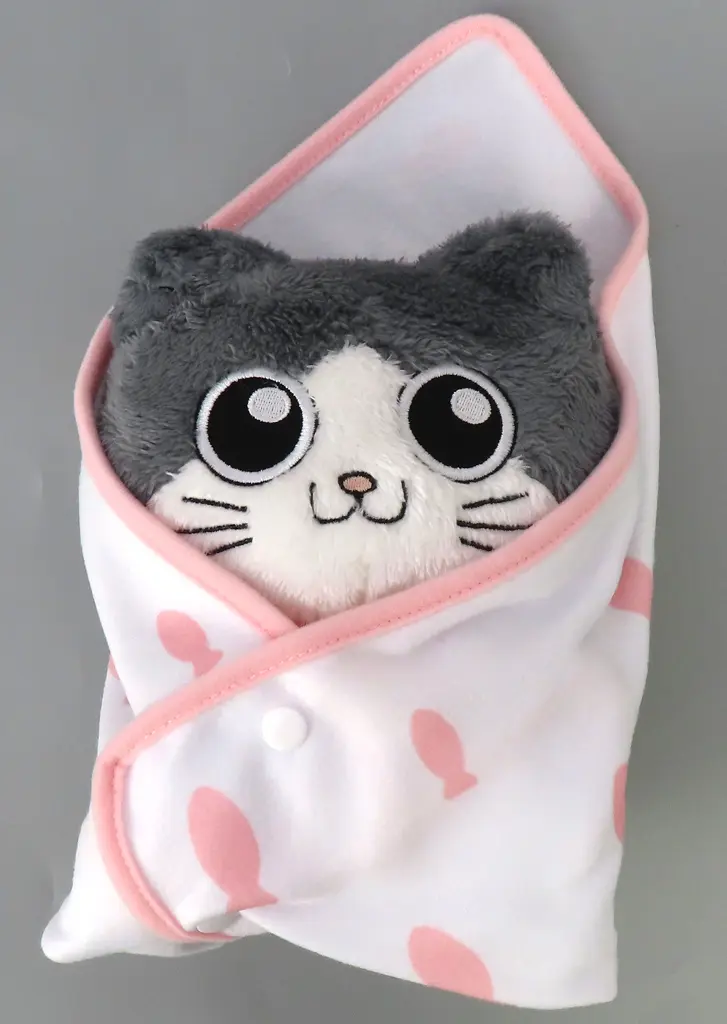 Plush - Neko ni Tensei shita Ojisan / Pun-chan