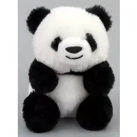 Plush - Panda