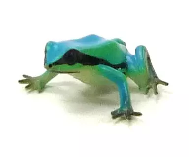 Trading Figure - Primary Color Amphibian Frog Encyclopedia