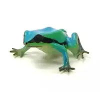 Trading Figure - Primary Color Amphibian Frog Encyclopedia
