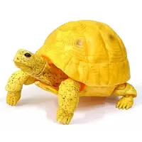 Trading Figure - Ikimono Daizukan