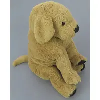 Plush - Dog