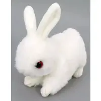 Plush - Rabbit