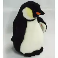 Plush - Beanie Babies