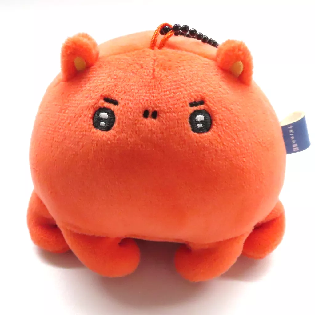 Key Chain - Nagano Aquarium