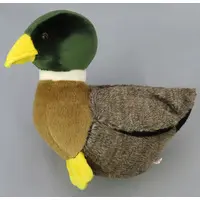 Plush - Duck