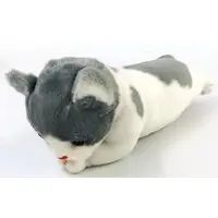 Plush - Cat