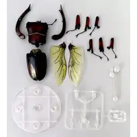 Trading Figure - Ikimono Daizukan